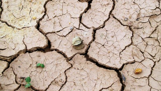 Komitet PAN: prace proponowane w Planach utrzymania wód grożą suszą